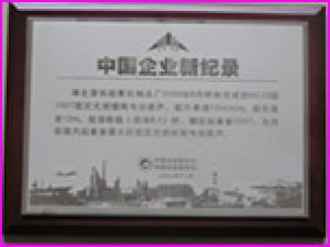 HC25型電動葫蘆獲創(chuàng)中國企業(yè)新紀(jì)錄。